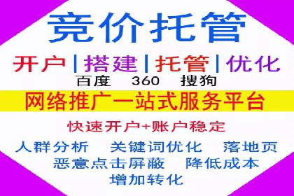 SEM主管实战：数据分析与策略调整